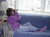 Watching birds from the comfort of my couch is a favorite morning activity on the weekends.