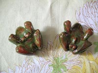 Underside of the frogs