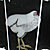Mike the Headless Chicken