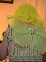 wings