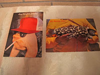 Tacky Postcards